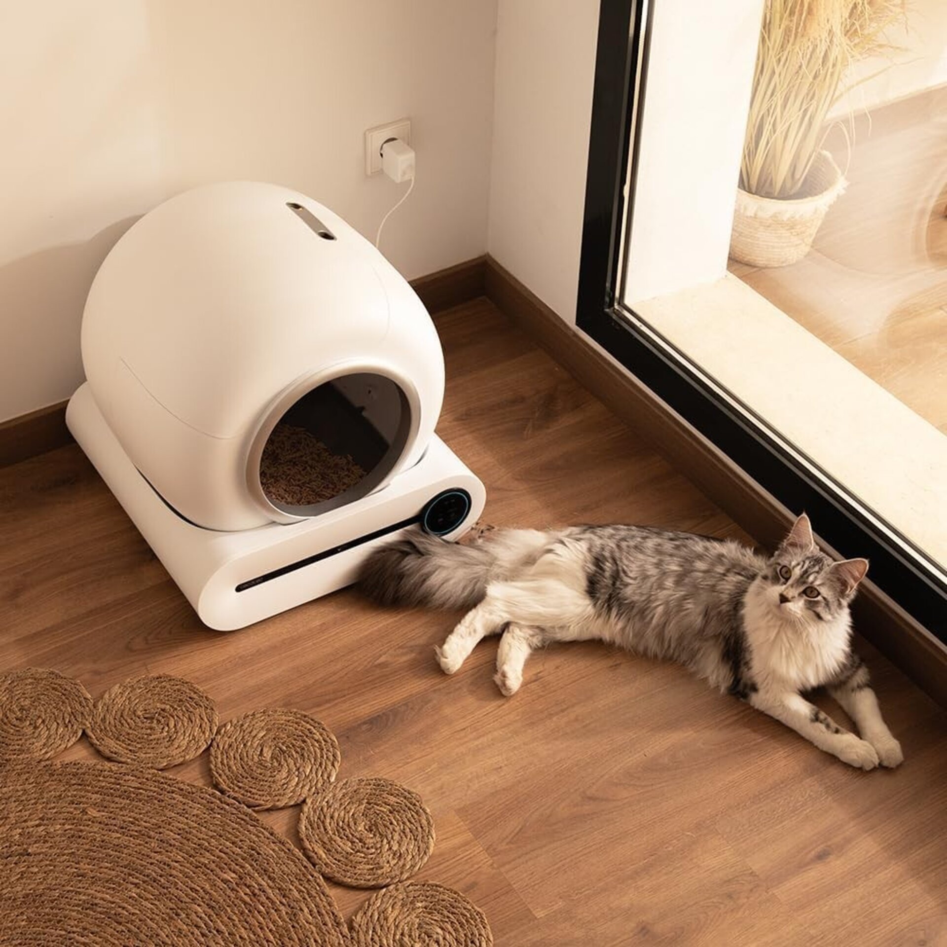 Cecotec Arenero con autolimpieza Pumba 8000 CleanKitty Smart - 3