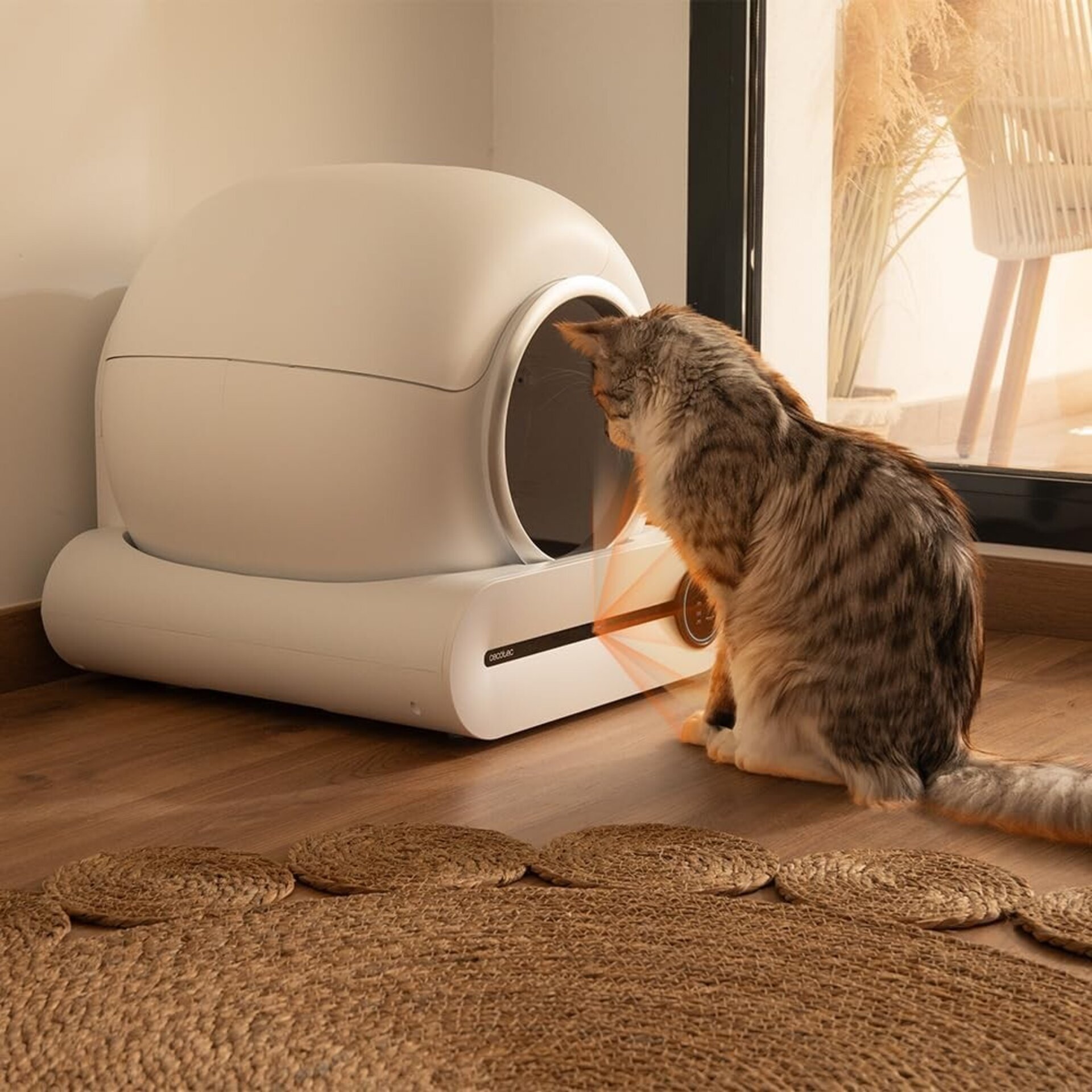 Cecotec Arenero con autolimpieza Pumba 8000 CleanKitty Smart - 8