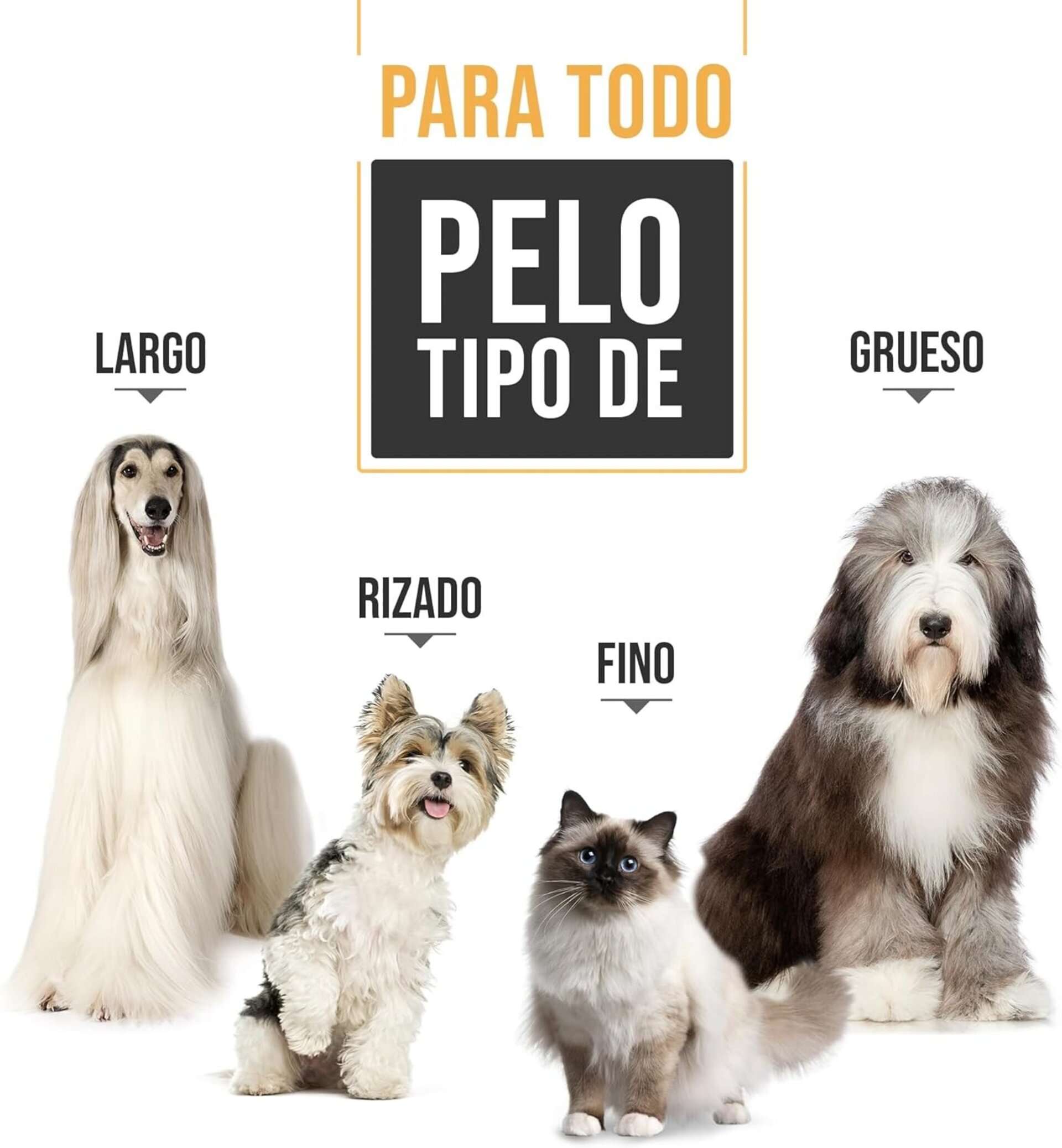 Cortapelos PetKing Premium para perros cortapelos profesional para perros - 4